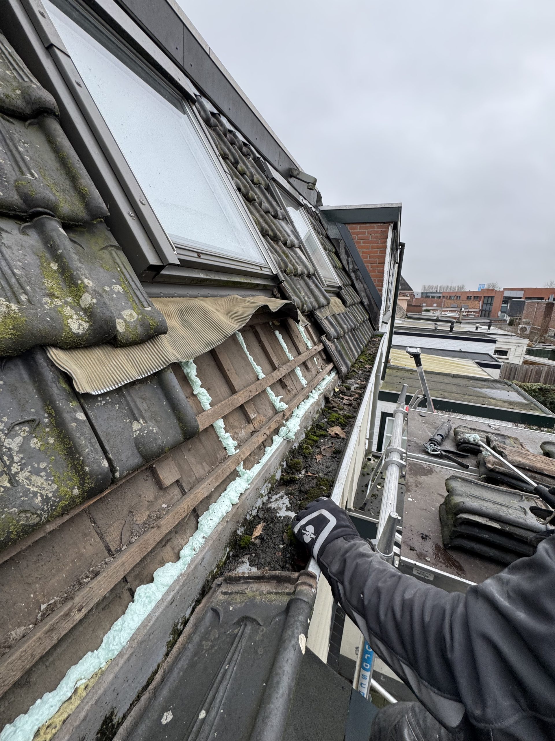 Muizen probleem verholpen